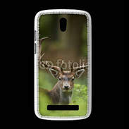 Coque HTC Desire 500 Portrait de Cerf 15