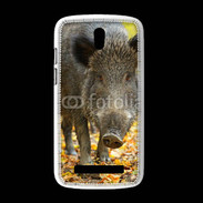 Coque HTC Desire 500 Sanglier de face 50