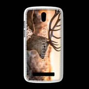 Coque HTC Desire 500 Cerf au couché de soleil 620