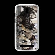 Coque HTC Desire 500 Abrivado Chevaux et taureaux