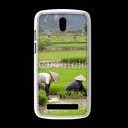 Coque HTC Desire 500 Rizière au Vietnam