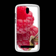 Coque HTC Desire 500 Framboise