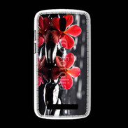 Coque HTC Desire 500 Spa et nature 5