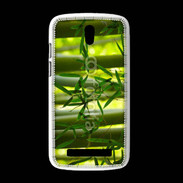 Coque HTC Desire 500 Forêt de bambou