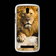 Coque HTC Desire 500 Tête de lion