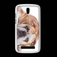 Coque HTC Desire 500 Bulldog anglais 2