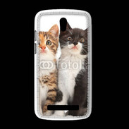 Coque HTC Desire 500 Duo de chatons