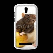 Coque HTC Desire 500 Rat bicouleur