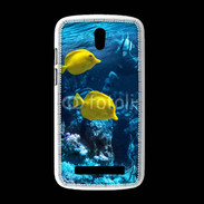 Coque HTC Desire 500 Poisson tropical