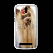 Coque HTC Desire 500 Yorkie de face