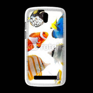 Coque HTC Desire 500 Poisson 1