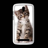 Coque HTC Desire 500 Chaton gris 3