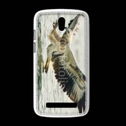 Coque HTC Desire 500 Aigle pêcheur