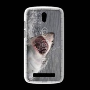 Coque HTC Desire 500 Attaque de requin blanc