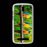 Coque HTC Desire 500 Trois perroquets bleu et jaune