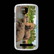 Coque HTC Desire 500 Groupe d'éléphants à la rivière