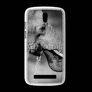 Coque HTC Desire 500 Elephant d'Afrique en noir et blanc