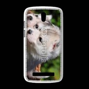 Coque HTC Desire 500 Chiot Husky de Sibérie 3