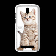 Coque HTC Desire 500 Adorable chaton 7