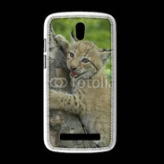 Coque HTC Desire 500 Bébé Lynx