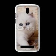 Coque HTC Desire 500 Adorable chaton persan 2