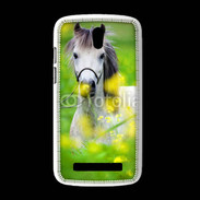 Coque HTC Desire 500 Poney Shetland gris et blanc