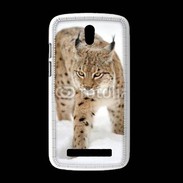 Coque HTC Desire 500 Lynx des neiges
