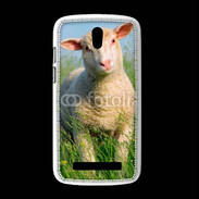 Coque HTC Desire 500 Portrait d'un agneau