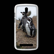 Coque HTC Desire 500 2 pingouins