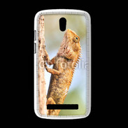 Coque HTC Desire 500 Portrait d'un lézard