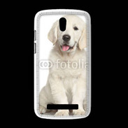 Coque HTC Desire 500 Chiot Golden retriever 100
