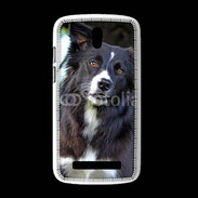 Coque HTC Desire 500 Border collie 500