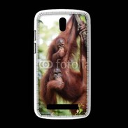 Coque HTC Desire 500 Famille de singe 50