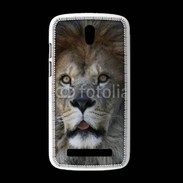Coque HTC Desire 500 Regard de Lion 900