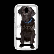 Coque HTC Desire 500 Labrador noir adulte 600