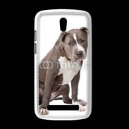 Coque HTC Desire 500 American staffordshire bull terrier