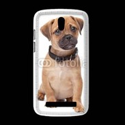 Coque HTC Desire 500 Cavalier king charles 700