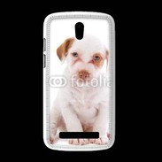 Coque HTC Desire 500 Jack russel terrier puppy 810