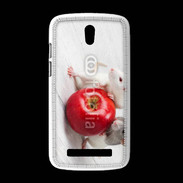 Coque HTC Desire 500 Rats gourmands