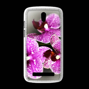 Coque HTC Desire 500 Belle Orchidée PR