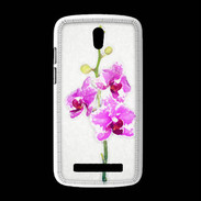 Coque HTC Desire 500 Belle Orchidée PR 10