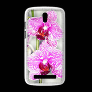 Coque HTC Desire 500 Belle Orchidée PR 30