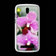 Coque HTC Desire 500 Belle Orchidée PR 50