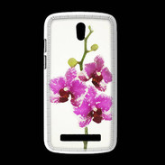 Coque HTC Desire 500 Branche orchidée PR