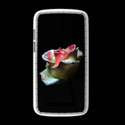 Coque HTC Desire 500 Belle rose sur fond noir PR