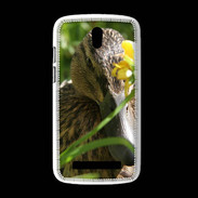 Coque HTC Desire 500 Canard sauvage PB 1