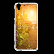 Coque HTC Desire Eye Automne, vignes, couché de soleil