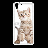 Coque HTC Desire Eye Adorable chaton 7