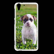 Coque HTC Desire Eye Chiot American Staffordshire terrier 