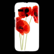Coque Motorola G Coquelicots en peinture 150